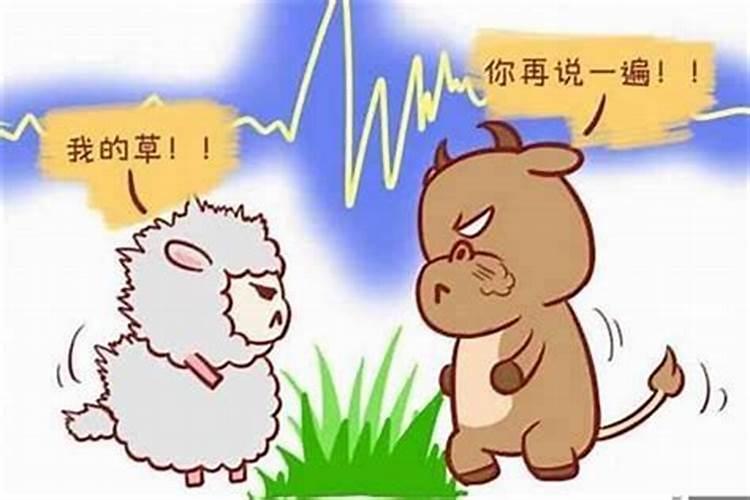 羊和什么不合适婚姻