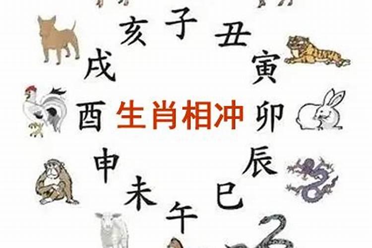 今日生肖相冲查询2021年10月5日