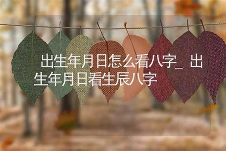 论八字如何输入时间出生年月