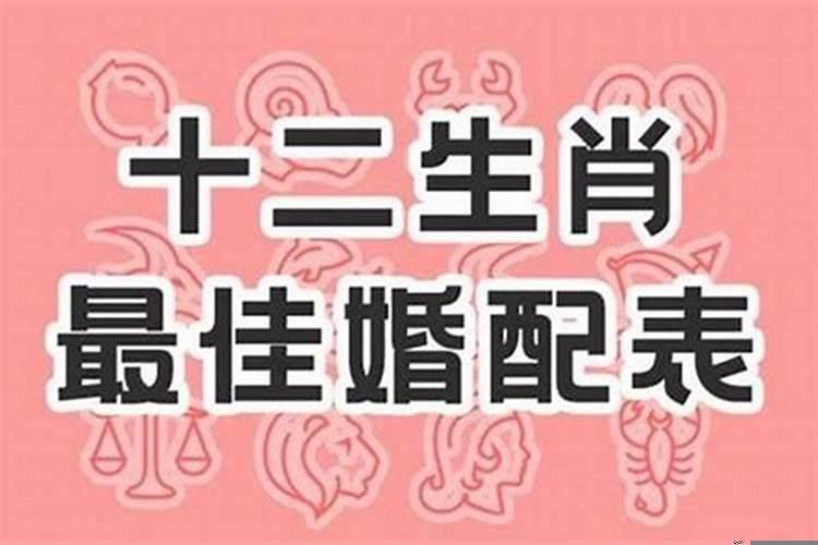 生肖牛宜配属相