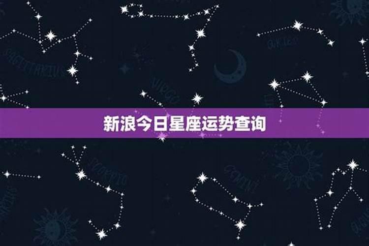 新浪星座运势查询大全最新