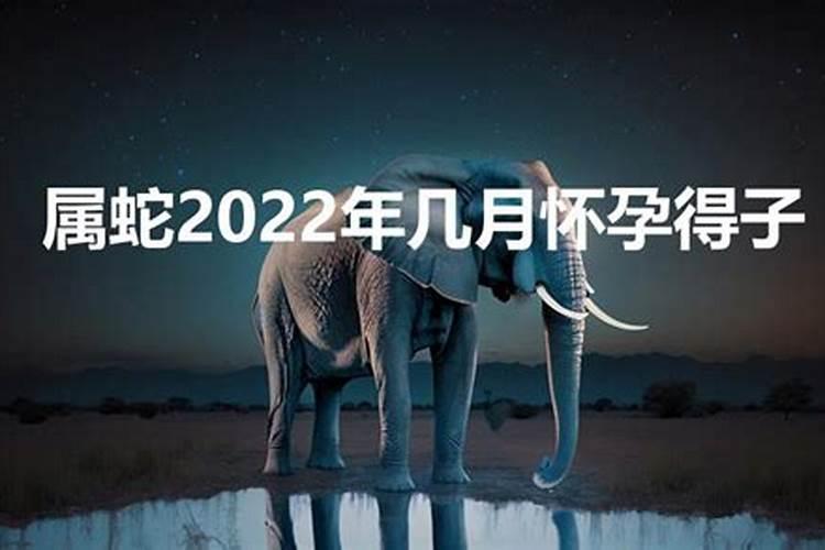 属蛇女2021年会怀孕吗