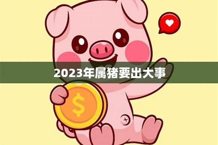 2023年属猪要出大事