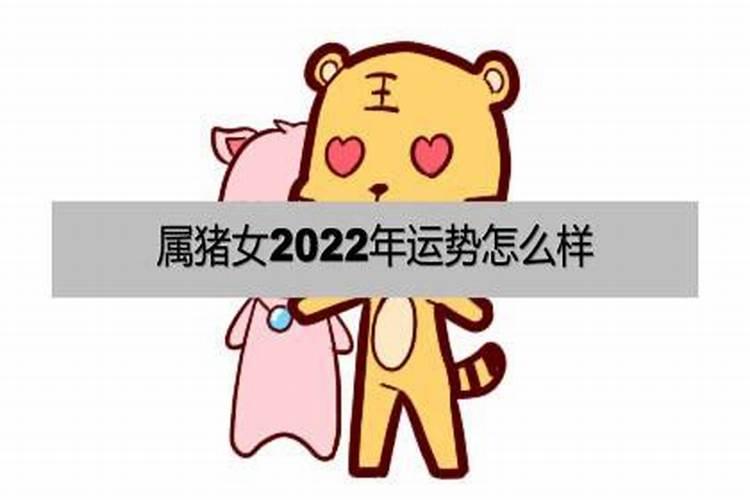 属猪女今年感情怎么样2022