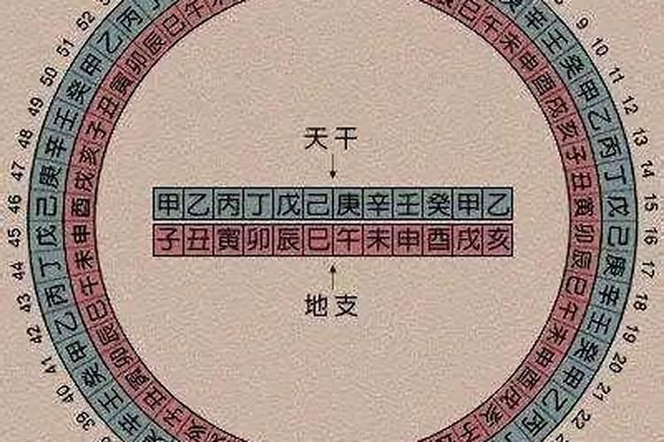 八字年柱与时柱天合地合