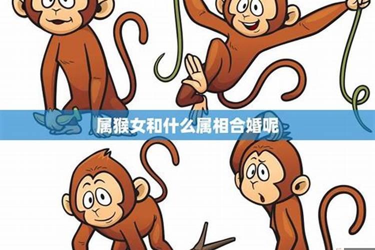 属猴的2020年犯太岁吗