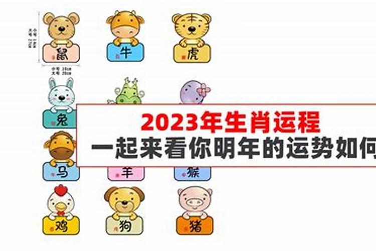 2023年属兔人运程