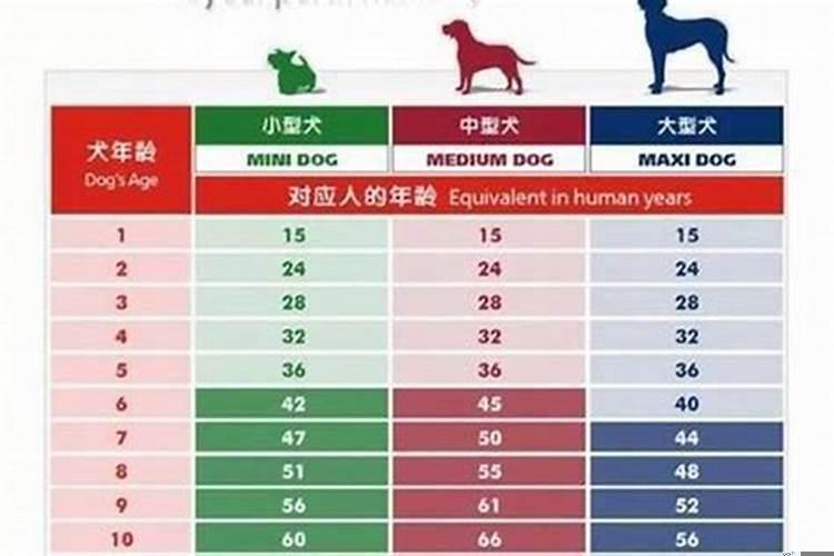 如何根据生肖推算年龄段