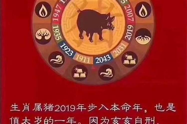 2019犯太岁的属相有那些