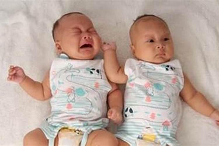 生双胞胎儿子是什么命理呢视频