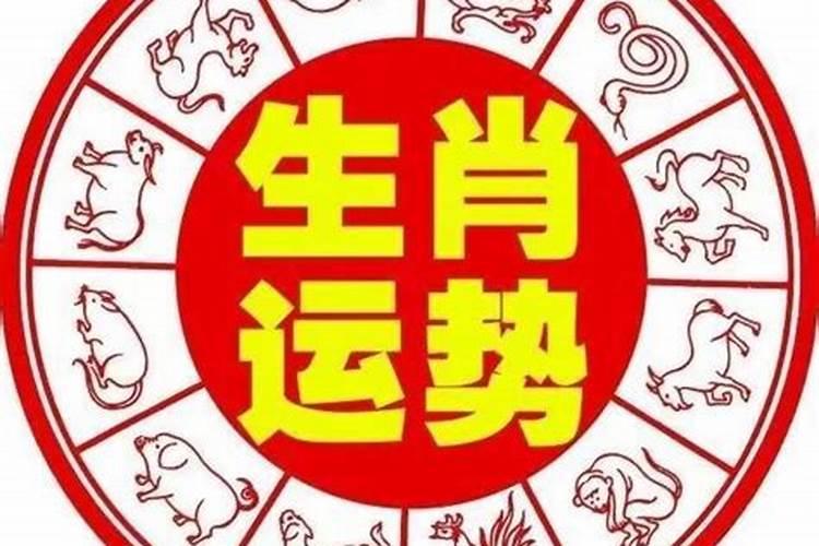 每年下半年运气不好怎么办