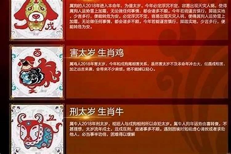 人到了本命年运气就不好吗为什么