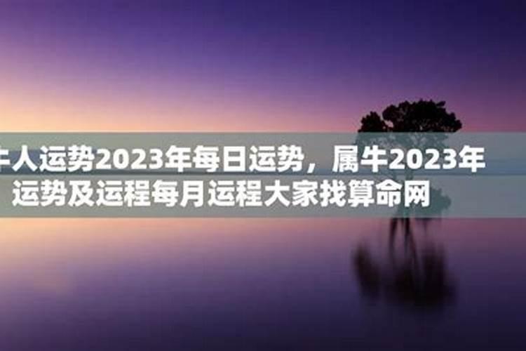 1985属牛人2023年全年运势详解