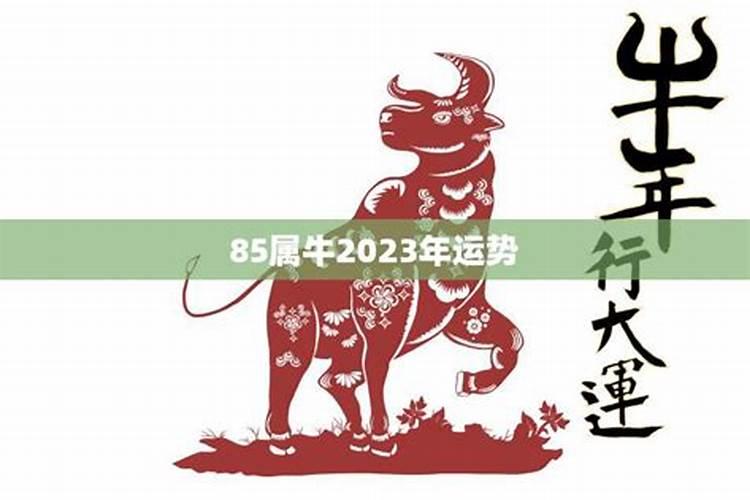 2023年85岁属什么生肖今年运气