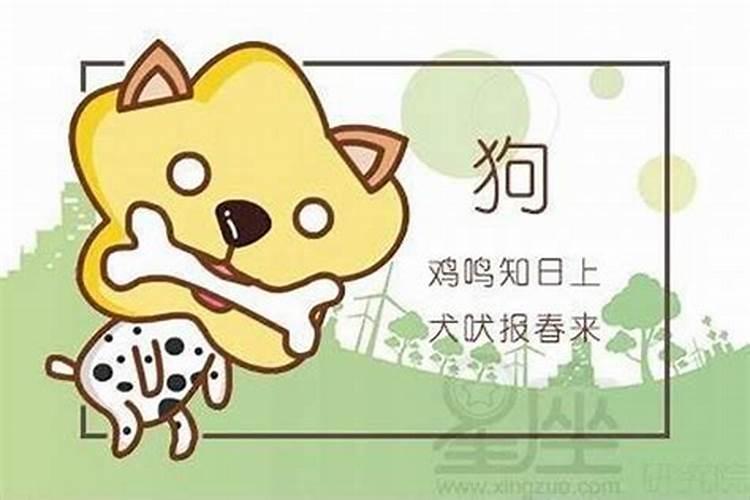 属猴属狗的属相合不合