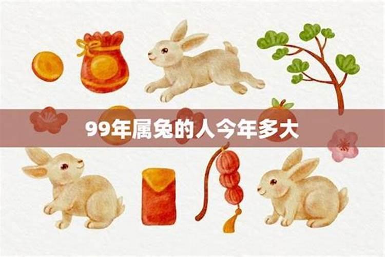 属兔84岁今年能过去吗