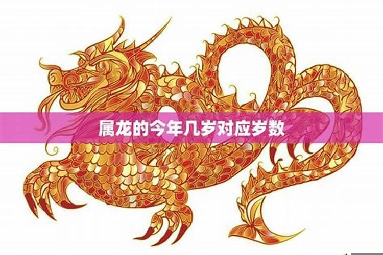 属龙今年多少岁2023年出生