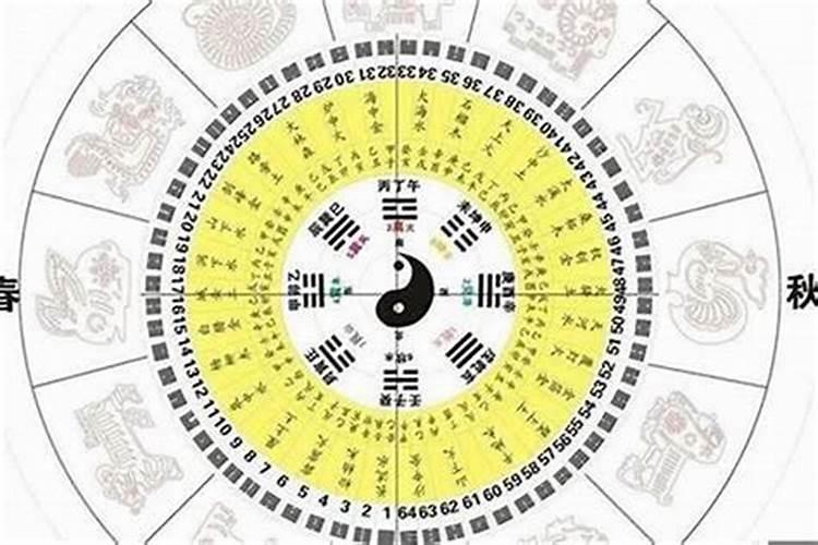 2021年是什么牛年五行属什么