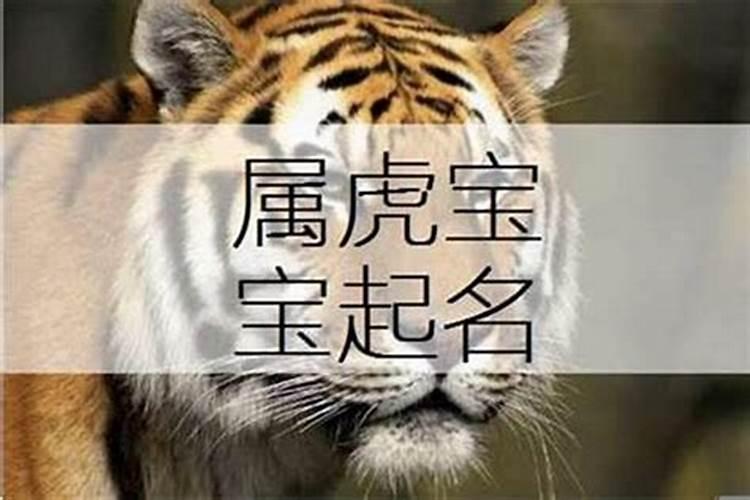 属虎的宝宝起什么名字好呢