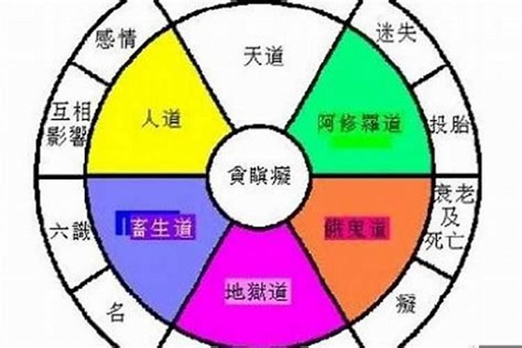 生辰八字多少年一轮回