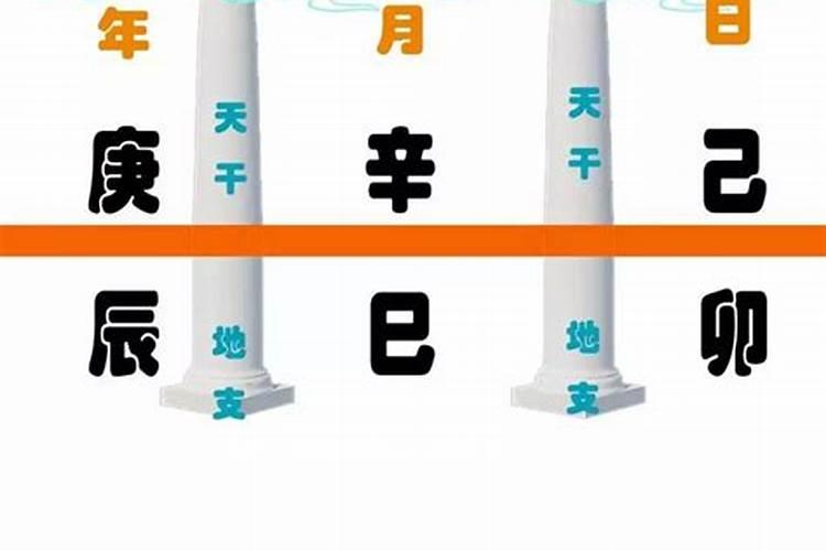 八字年支合月支会怎样