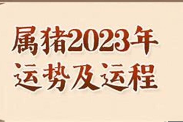 属猪运势2023年运势如何