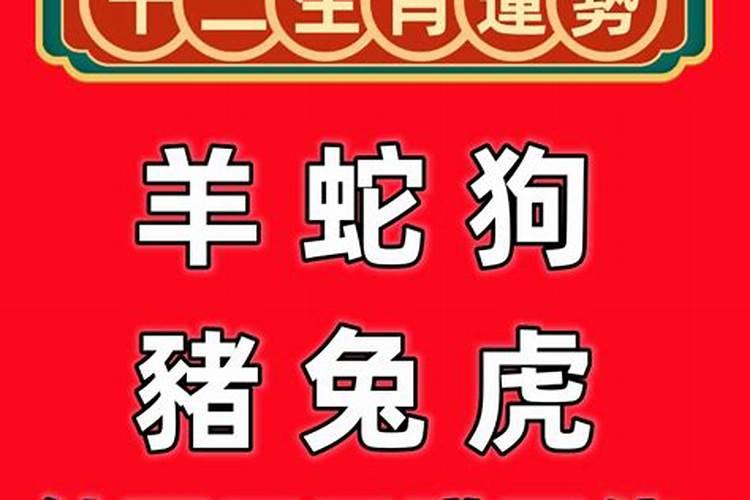 今日特吉生肖2月23日