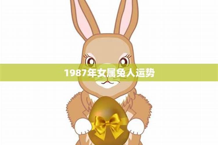 1987年兔子今日运势如何呢