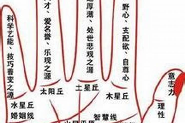 后代婚姻不顺和祖坟有关吗视频讲解