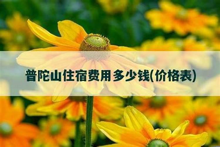 大师超度婴灵过程