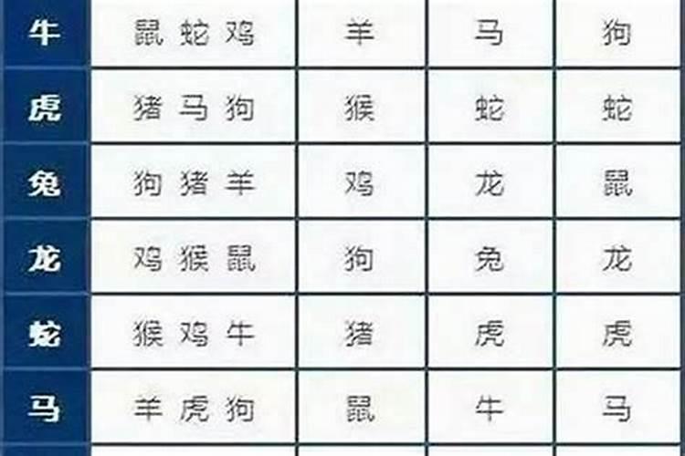 属兔36本命年要注意什么