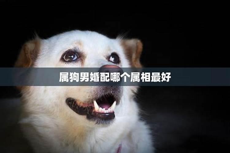 犯太岁该怎么做?