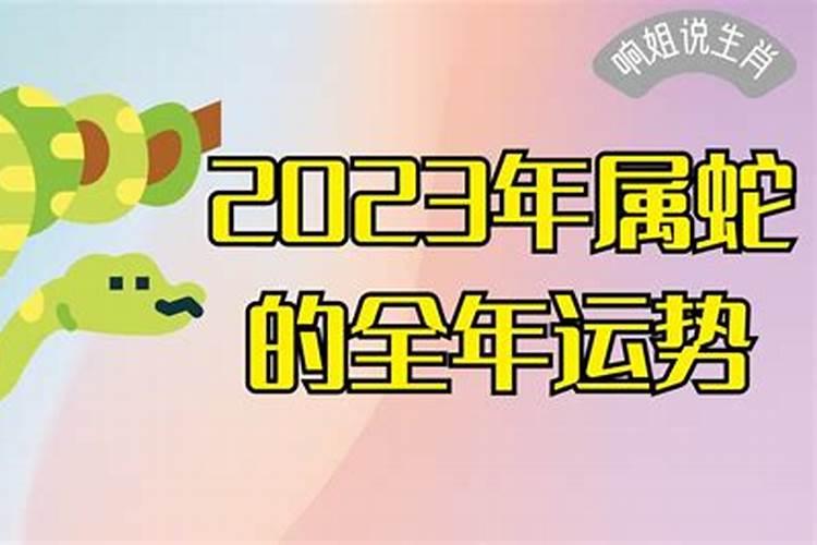 2023年属蛇的全年运势怎么样呀