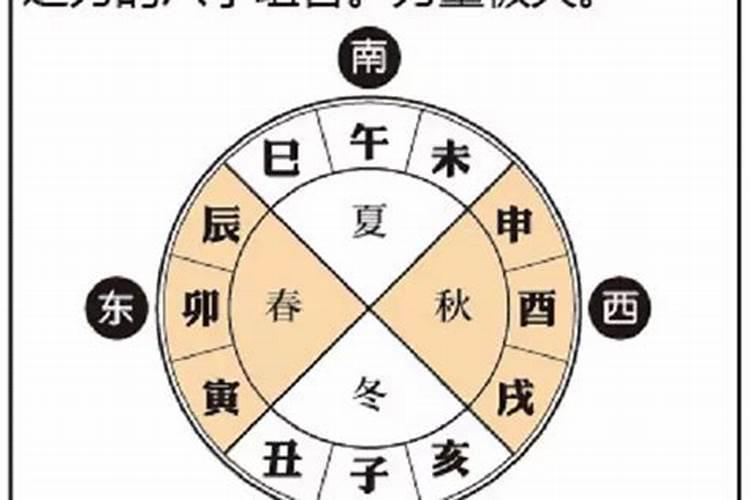 适合学易学的八字