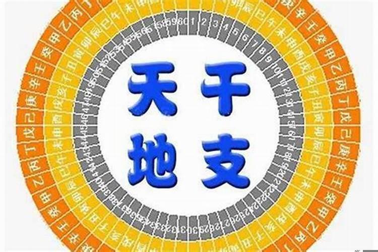 大运流年与命局地支合