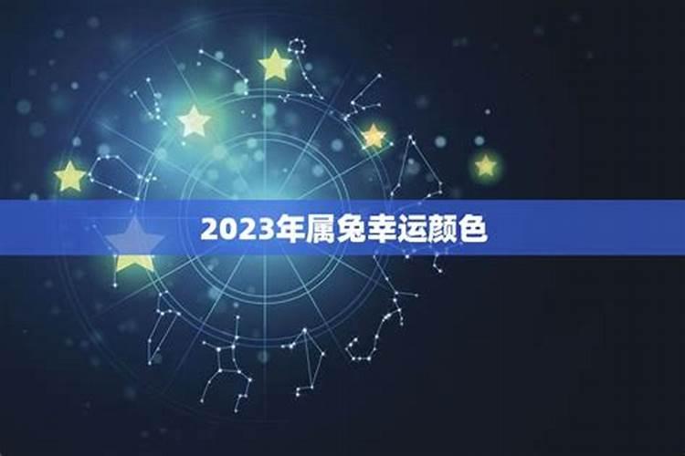 2023年属兔人的全年运势详解