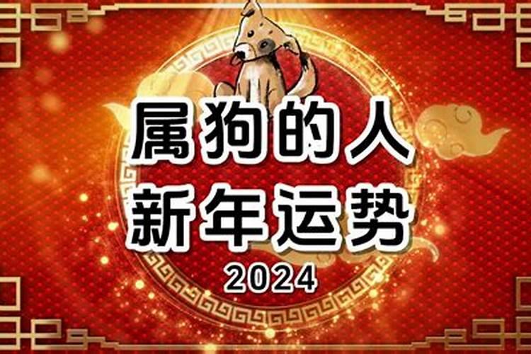 属狗的在2024年的运势好不好呢