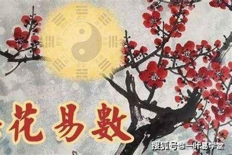 属羊的今年犯太岁用什么办法化解