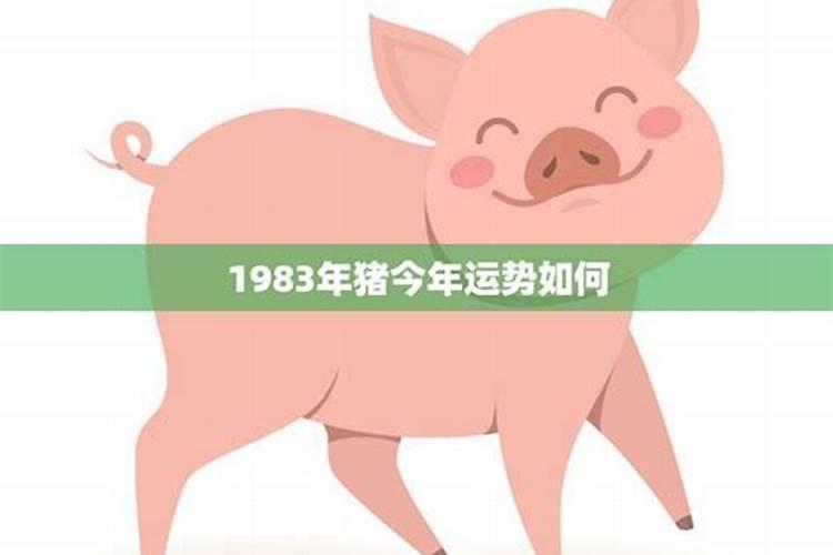 1983年属猪今年财运怎么样