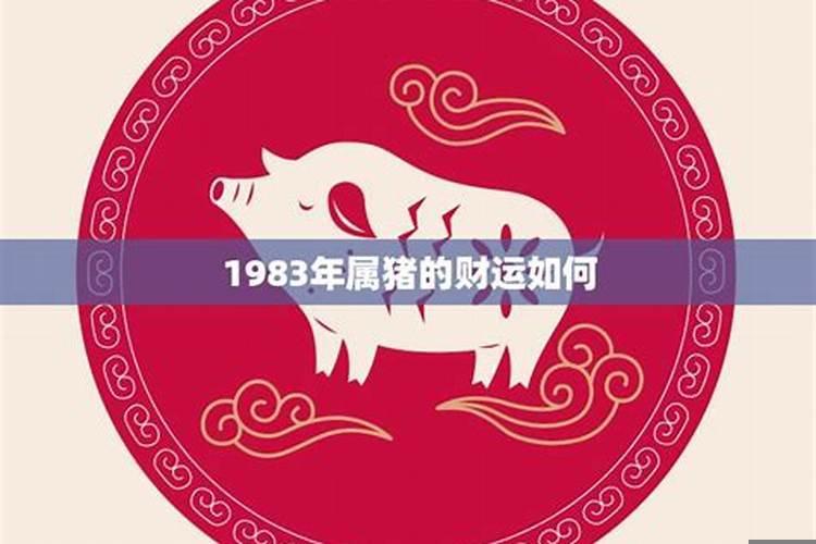 1983年属猪命财运