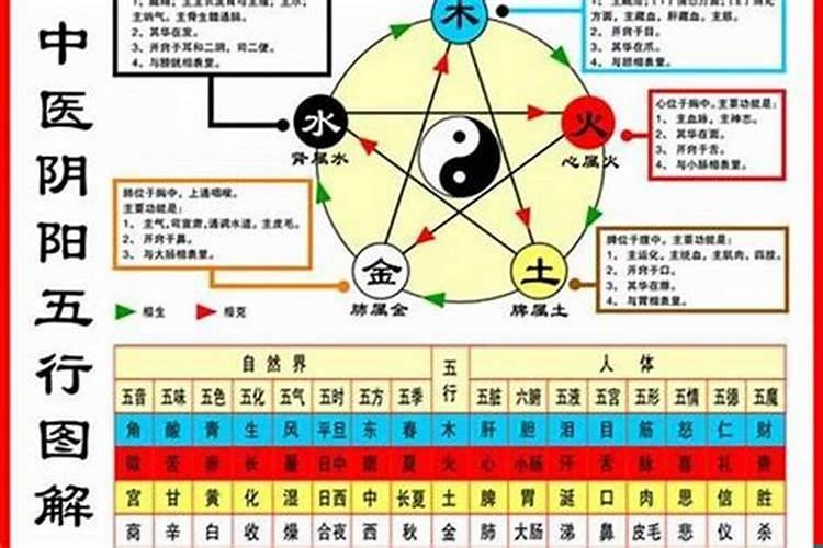 什么样的五行命硬