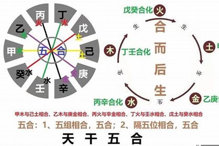 年柱与流年天合地合全解析