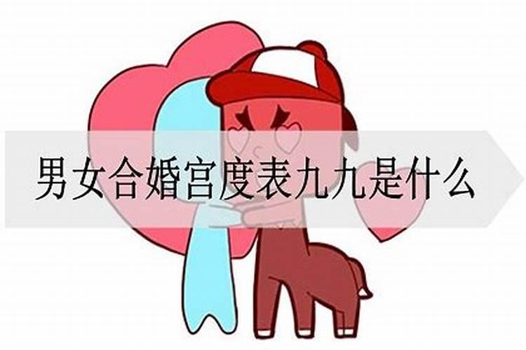 生肖猪本命年能结婚吗男人怎么样