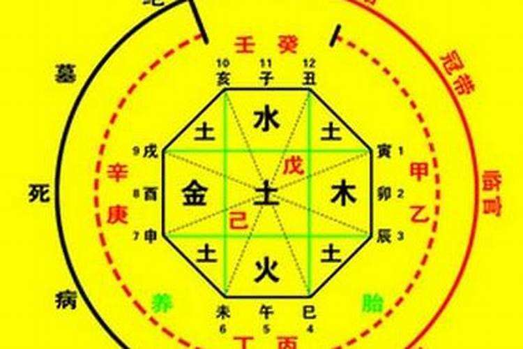 八字大运怎么看本命属性是什么