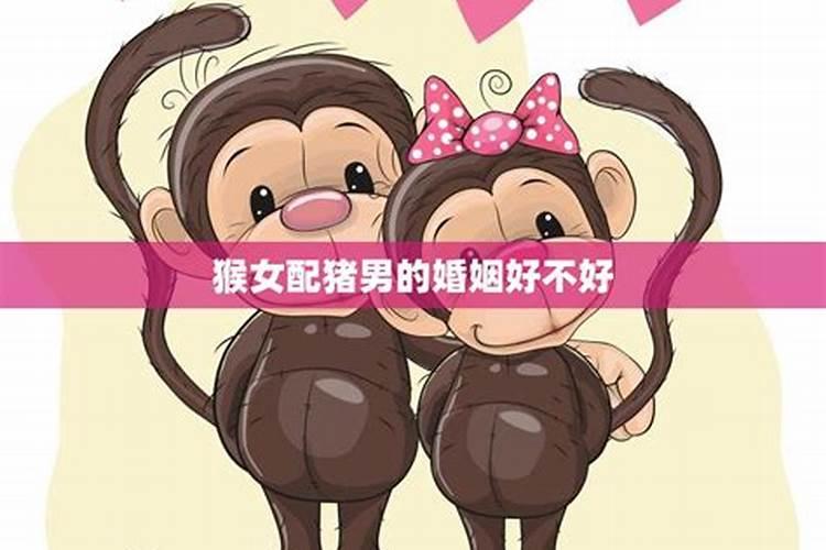 男猴女猴婚姻怎么样好不好