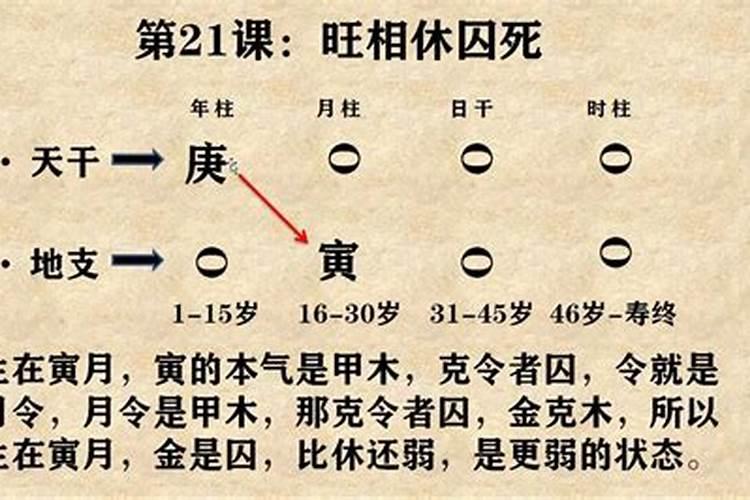 八字快速入门教程