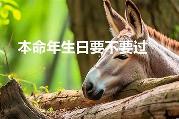 今年本命年能过生日吗请介绍一下我