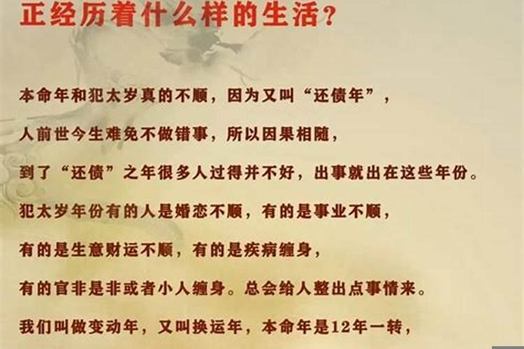 龙妈妈鸡宝宝八字合吗