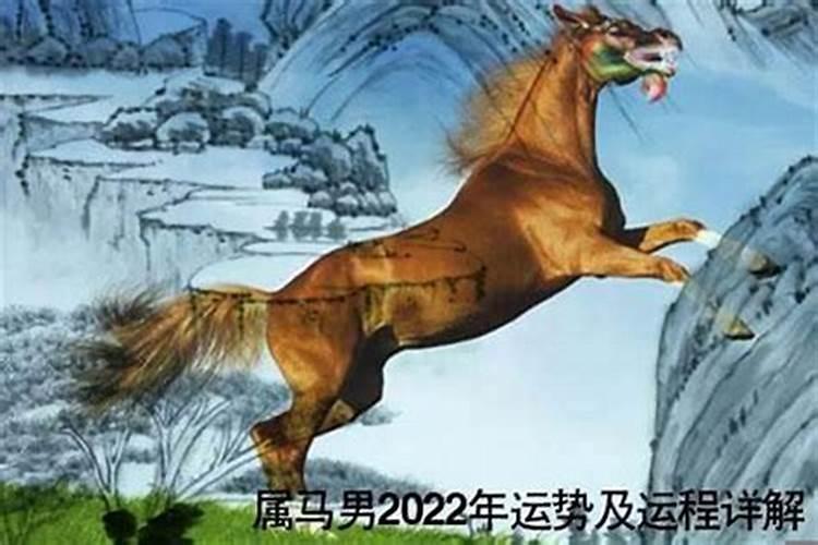 2022年属猴有太岁吗