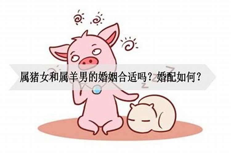 属羊男和属猪女注定就不好吗